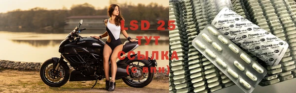 бошки Абинск